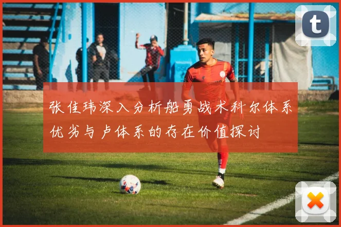 张佳玮深入分析船勇战术科尔体系优劣与卢体系的存在价值探讨