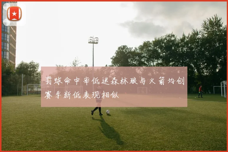 罚球命中率低迷森林狼与火箭均创赛季新低表现相似